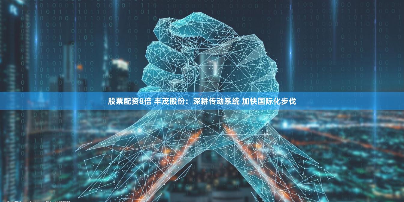 股票配资8倍 丰茂股份：深耕传动系统 加快国际化步伐