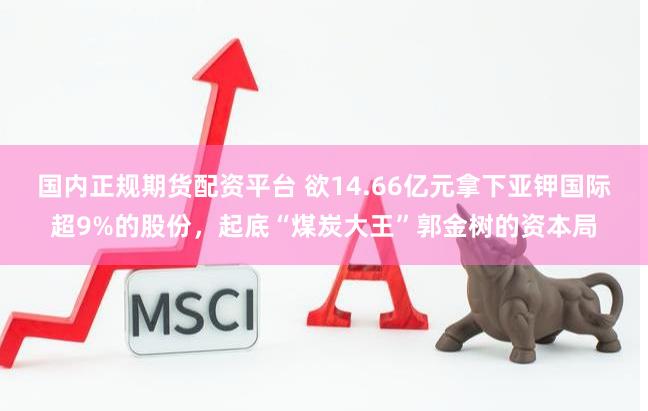 国内正规期货配资平台 欲14.66亿元拿下亚钾国际超9%的股份，起底“煤炭大王”郭金树的资本局