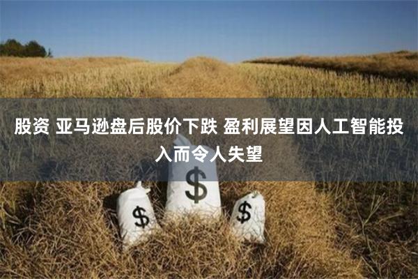 股资 亚马逊盘后股价下跌 盈利展望因人工智能投入而令人失望