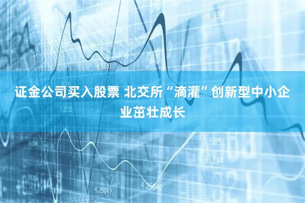 证金公司买入股票 北交所“滴灌”创新型中小企业茁壮成长