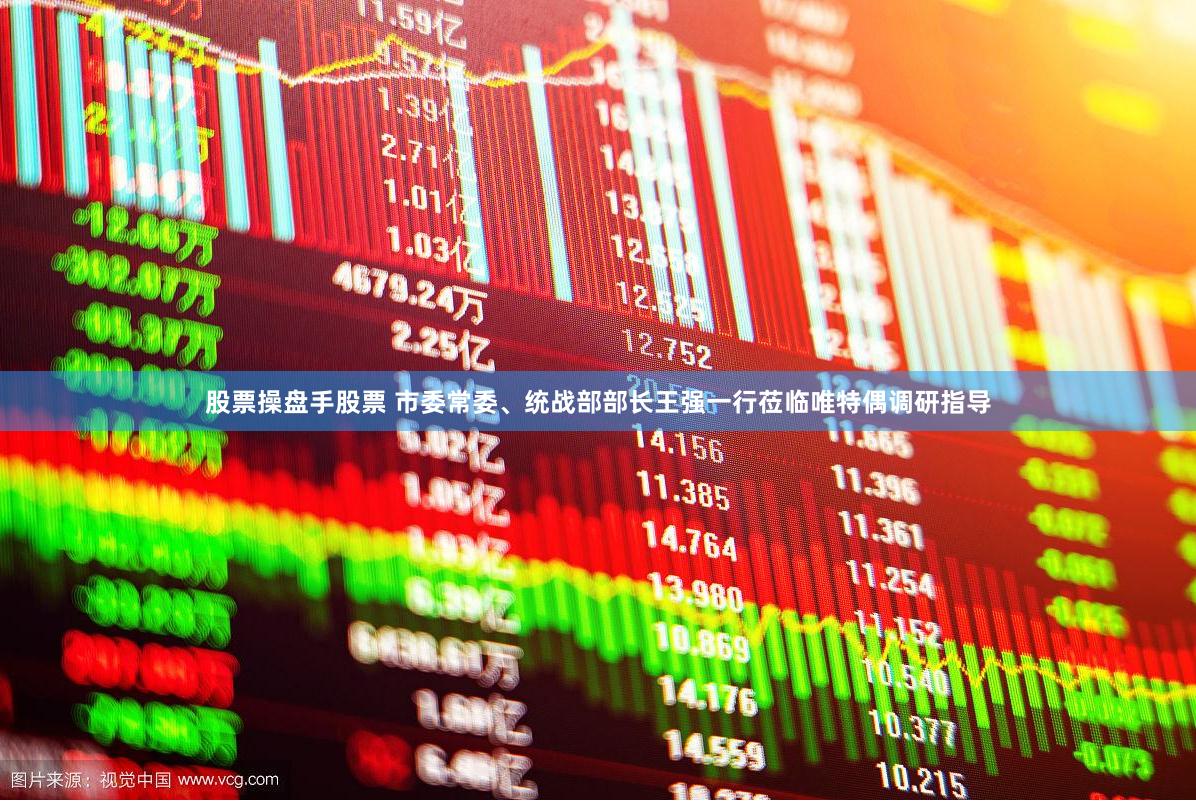 股票操盘手股票 市委常委、统战部部长王强一行莅临唯特偶调研指导