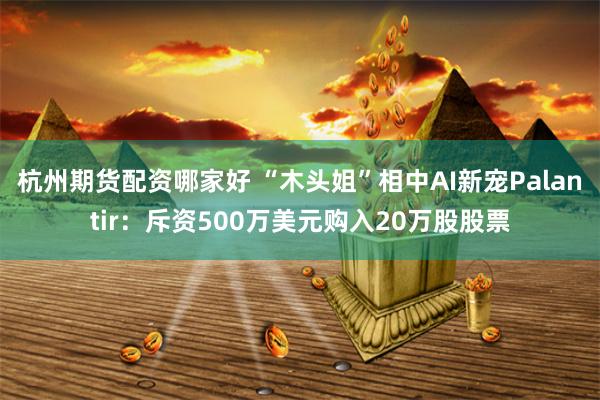 杭州期货配资哪家好 “木头姐”相中AI新宠Palantir：斥资500万美元购入20万股股票